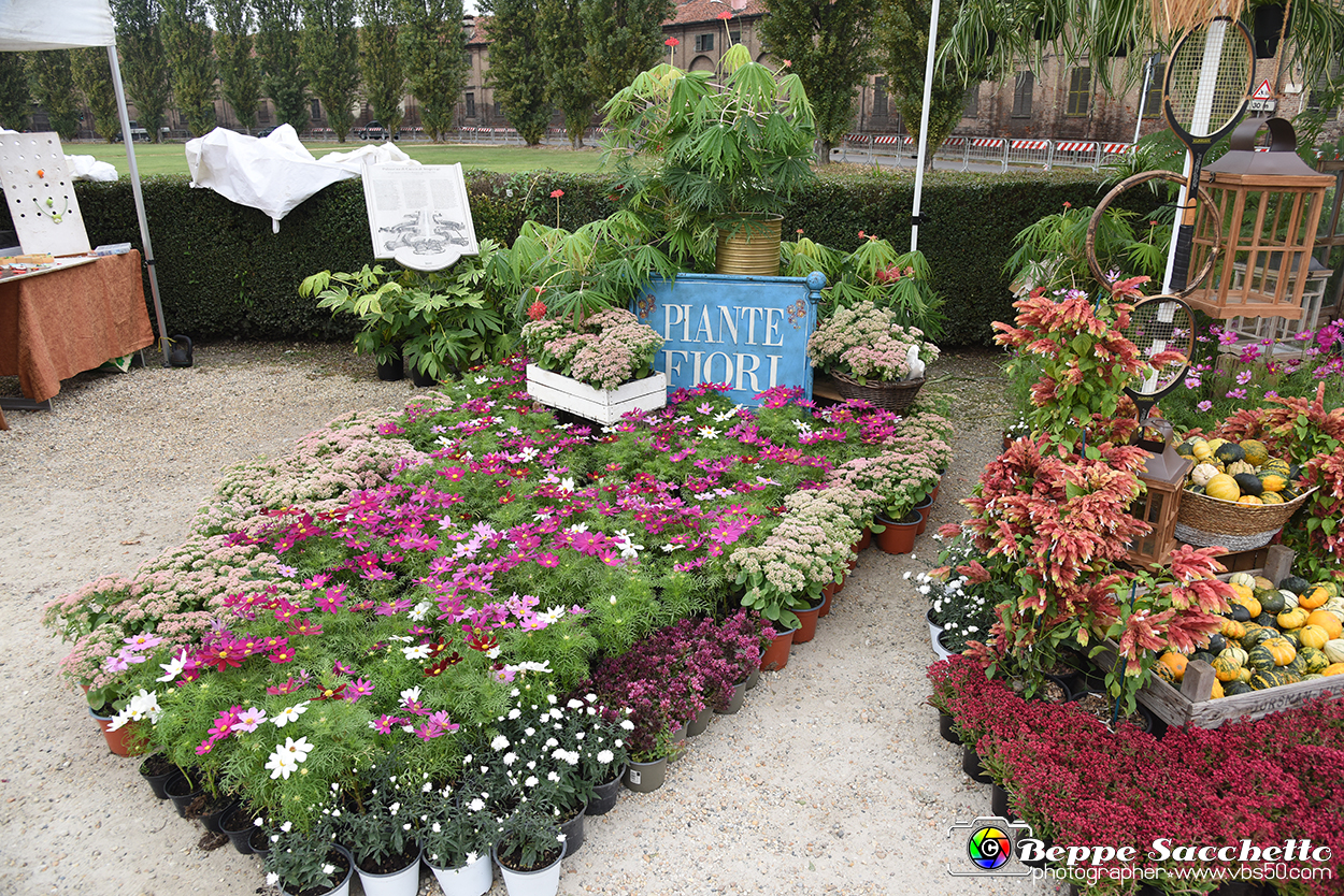 VBS_3426 - Floreal 2023 - Vivere con le piante.jpg